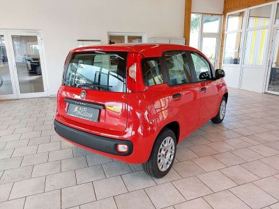 Fiat Panda Gebrauchtwagen