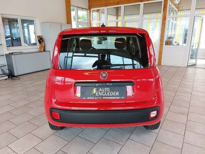 Fiat Panda Gebrauchtwagen