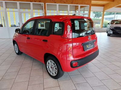 Fiat Panda Gebrauchtwagen