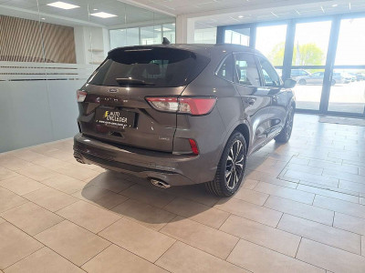 Ford Kuga Gebrauchtwagen Ford Kuga Gebrauchtwagen