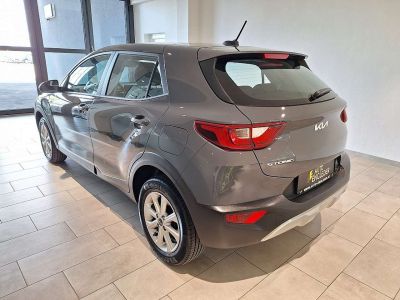 KIA Stonic Gebrauchtwagen