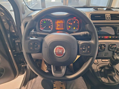 Fiat Panda Gebrauchtwagen