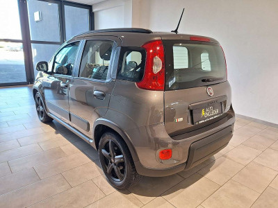 Fiat Panda Gebrauchtwagen