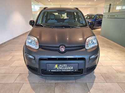 Fiat Panda Gebrauchtwagen