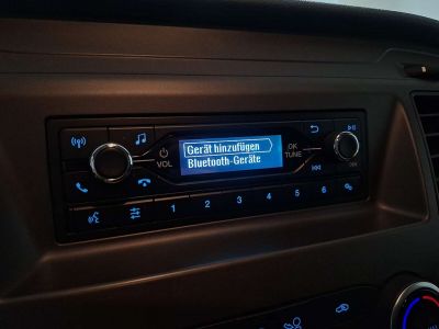 Ford Transit Custom Gebrauchtwagen