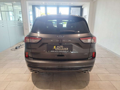 Ford Kuga Gebrauchtwagen