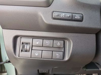 Nissan Leaf Gebrauchtwagen