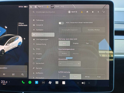 Tesla Model 3 Gebrauchtwagen