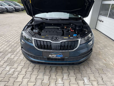 Skoda Karoq Gebrauchtwagen