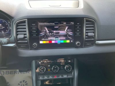 Skoda Karoq Gebrauchtwagen