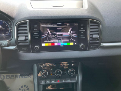 Skoda Karoq Gebrauchtwagen