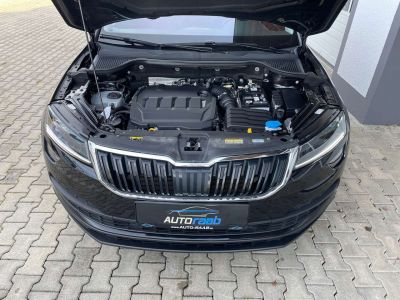 Skoda Karoq Gebrauchtwagen