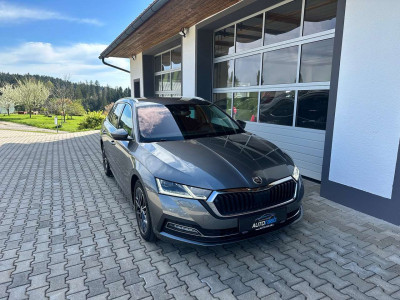 Skoda Octavia Gebrauchtwagen