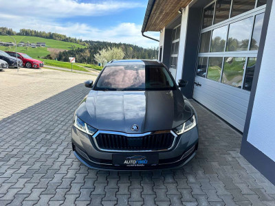 Skoda Octavia Gebrauchtwagen