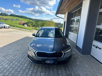 Skoda Octavia Gebrauchtwagen Skoda Octavia Gebrauchtwagen