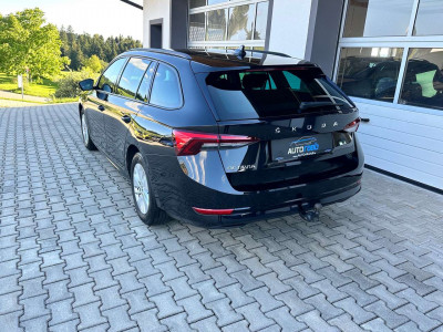 Skoda Octavia Gebrauchtwagen