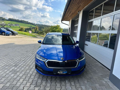Skoda Octavia Gebrauchtwagen