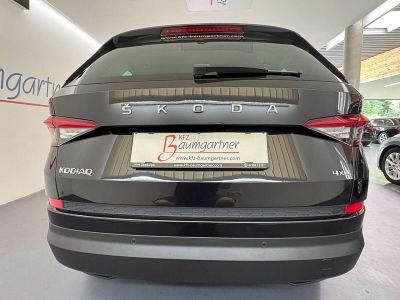 Skoda Kodiaq Gebrauchtwagen Skoda Kodiaq Gebrauchtwagen