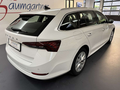 Skoda Octavia Gebrauchtwagen