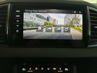 Skoda Karoq Gebrauchtwagen