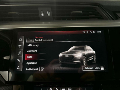 Audi e-tron Gebrauchtwagen