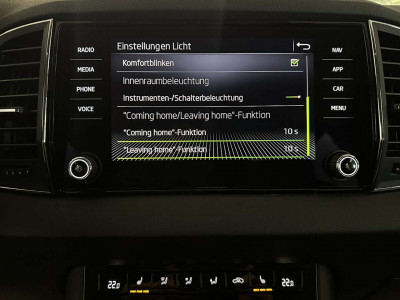 Skoda Karoq Gebrauchtwagen