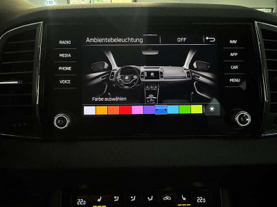 Skoda Karoq Gebrauchtwagen