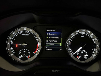 Skoda Karoq Gebrauchtwagen