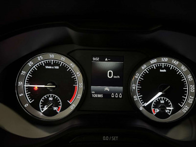 Skoda Karoq Gebrauchtwagen