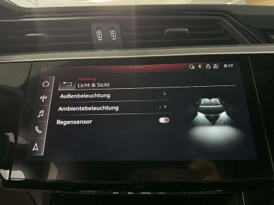 Audi e-tron Gebrauchtwagen