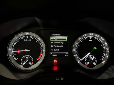 Skoda Karoq Gebrauchtwagen