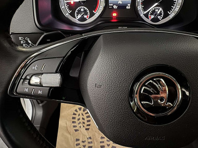 Skoda Karoq Gebrauchtwagen