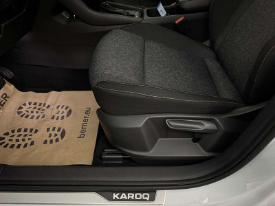 Skoda Karoq Gebrauchtwagen