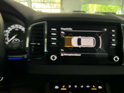 Skoda Karoq Gebrauchtwagen