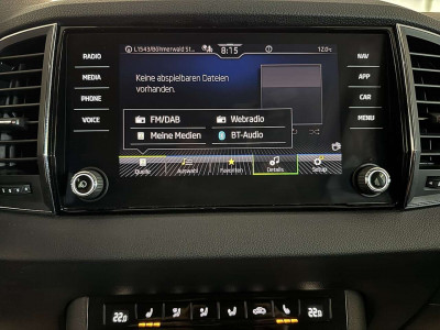 Skoda Karoq Gebrauchtwagen