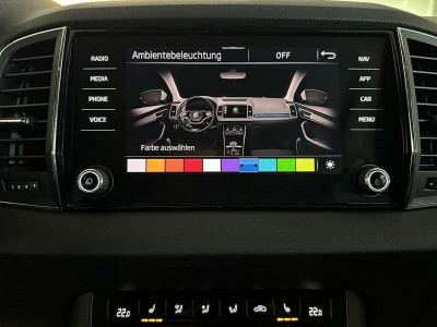 Skoda Karoq Gebrauchtwagen