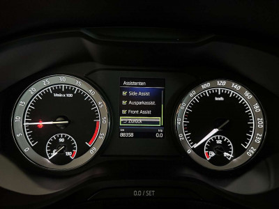 Skoda Karoq Gebrauchtwagen