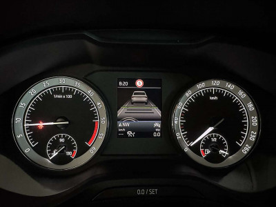 Skoda Karoq Gebrauchtwagen