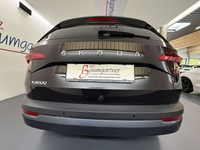 Skoda Karoq Gebrauchtwagen Skoda Karoq Gebrauchtwagen