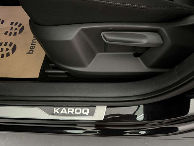 Skoda Karoq Gebrauchtwagen Skoda Karoq Gebrauchtwagen