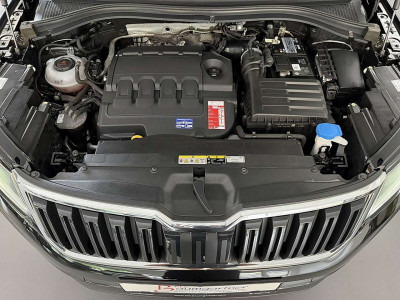 Skoda Kodiaq Gebrauchtwagen Skoda Kodiaq Gebrauchtwagen