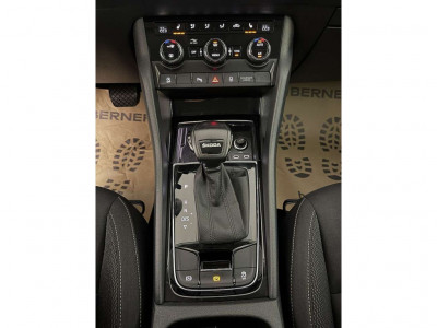 Skoda Karoq Gebrauchtwagen Skoda Karoq Gebrauchtwagen