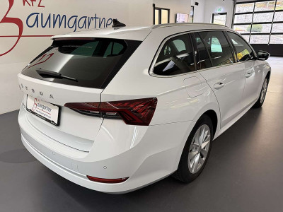 Skoda Octavia Gebrauchtwagen Skoda Octavia Gebrauchtwagen
