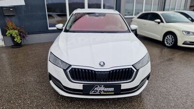 Skoda Octavia Gebrauchtwagen