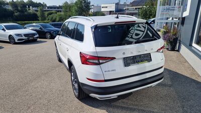 Skoda Kodiaq Gebrauchtwagen