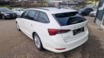 Skoda Octavia Gebrauchtwagen