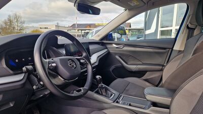 Skoda Octavia Gebrauchtwagen
