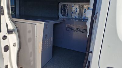 Renault Trafic Gebrauchtwagen