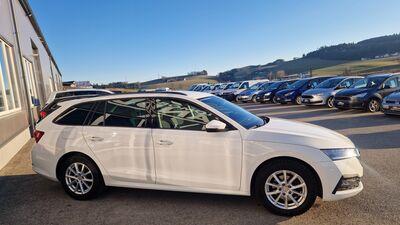 Skoda Octavia Gebrauchtwagen