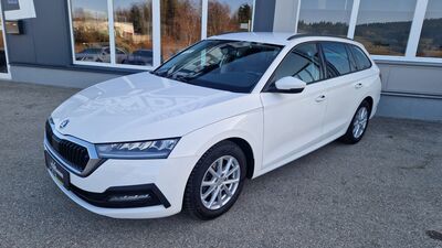 Skoda Octavia Gebrauchtwagen